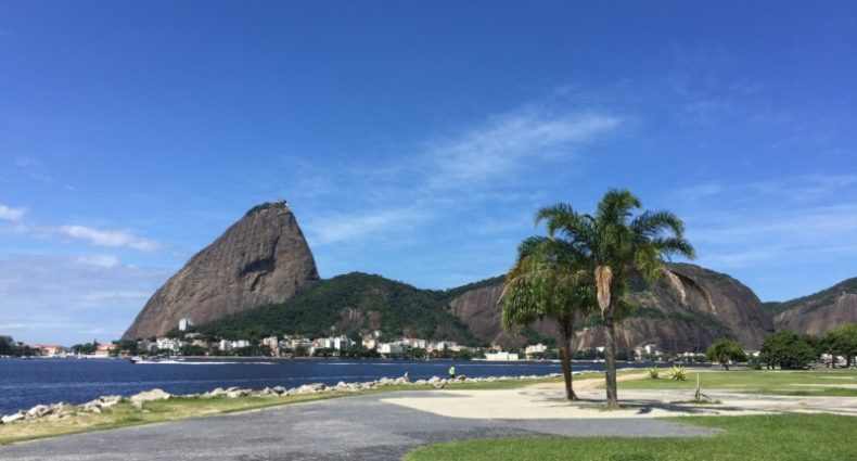 Vista do Pão de Açúcar no Rio de Janeiro com uma palmeira em primeiro plano e um céu azul claro.