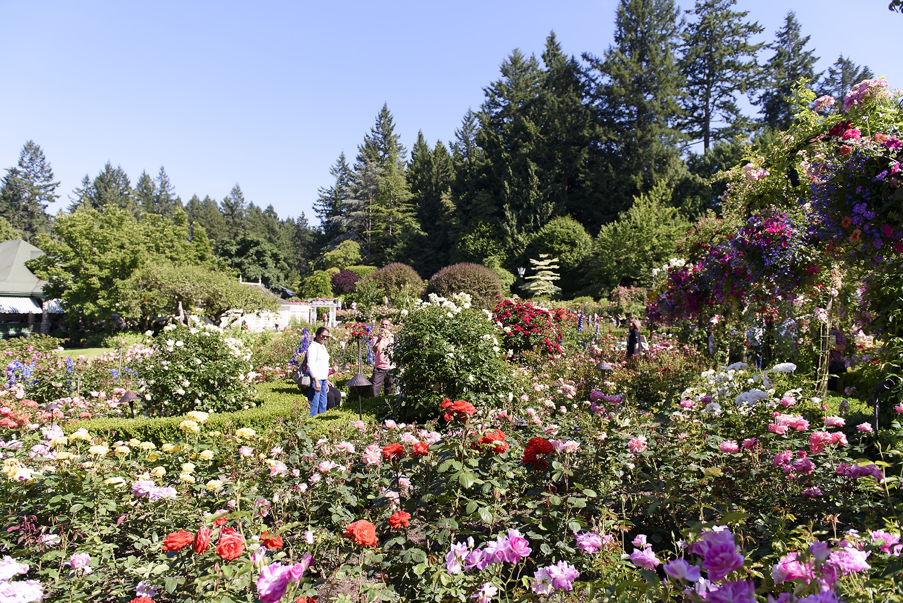 Butchart Gardens em Victoria na Columbia Britânica - Foto: Virgínia Falanghe