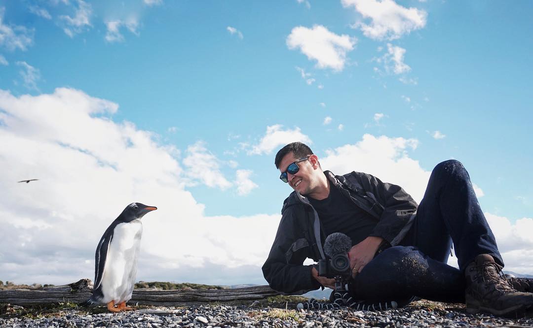 O que fazer em Ushuaia: 20 Dicas [no Inverno e Verão]