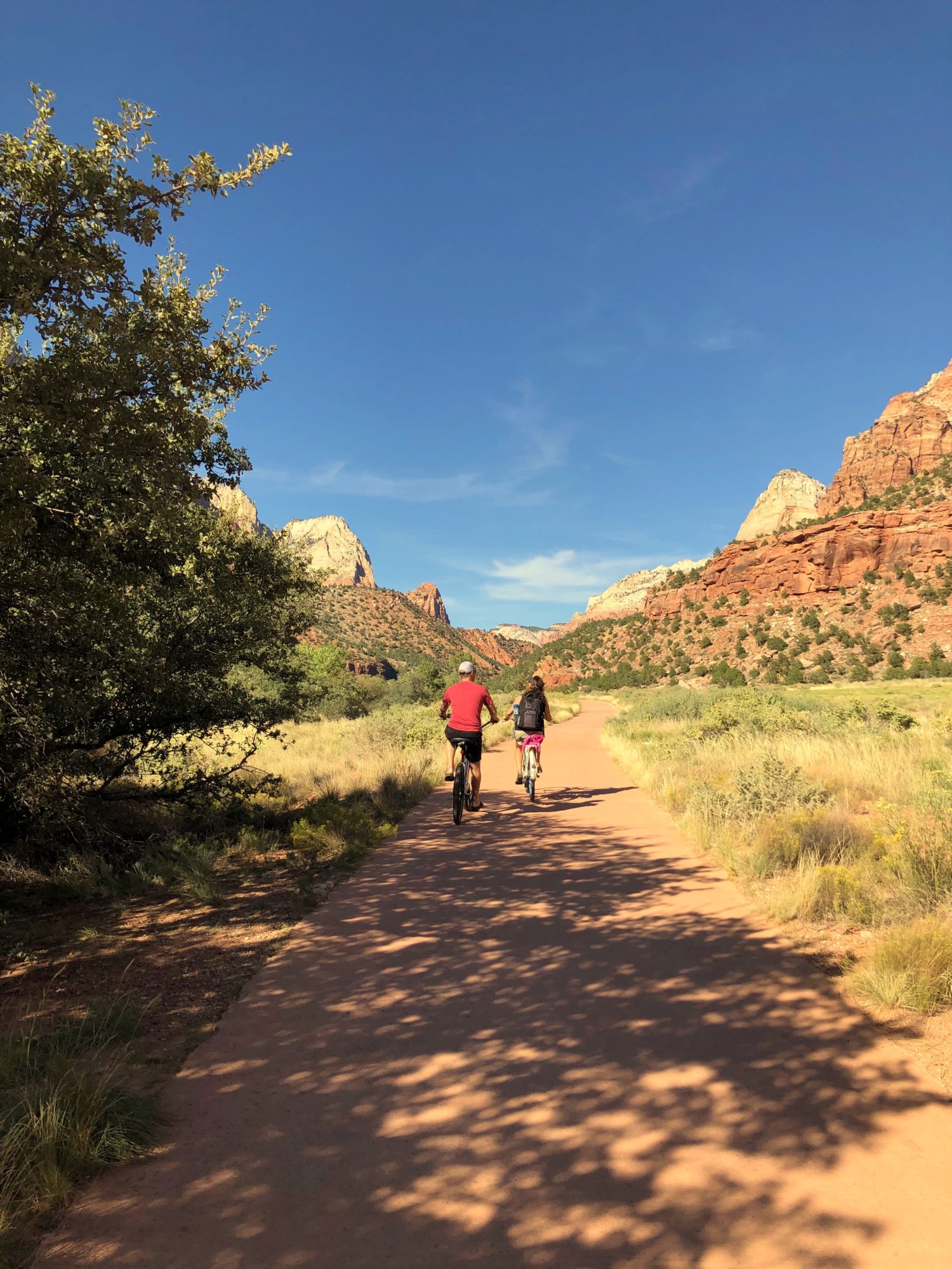 Zion National Park tudo o que precisa saber antes de ir Dicas de Viagem