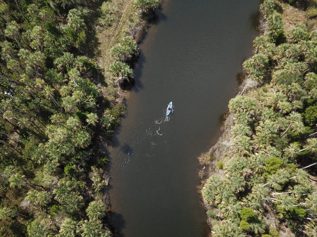 Passeio de Caiaque na Adventure Coast, uma dica de roteiro alternativo para Florida, visto de cima, com vegetação em ambos os lados do rio