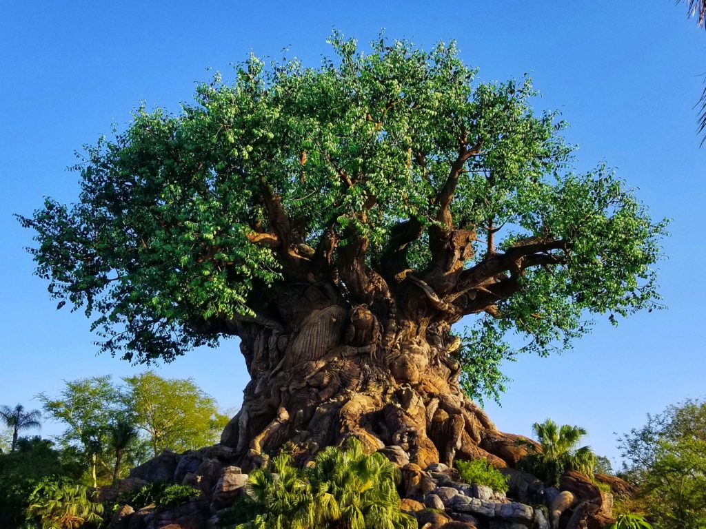 Foto da Árvore da Vida, no Magic Kingdom. Foto: David Buchi via Pexels.