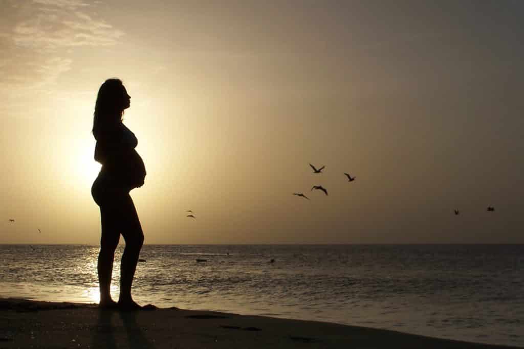 Silhueta de grávida na praia com pássaros ao fundo para ilustrar o post sobre seguro viagem para gestante. - Foto via Pxhere.