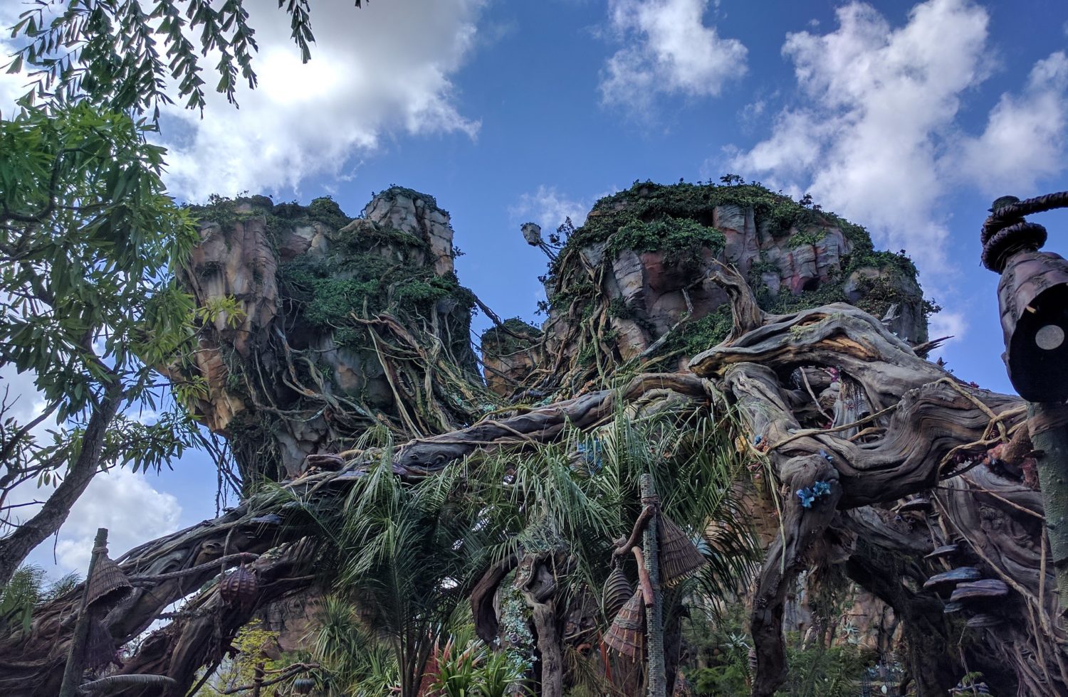 Avatar Animal Kingdom Como E Visitar Pandora Na Disney
