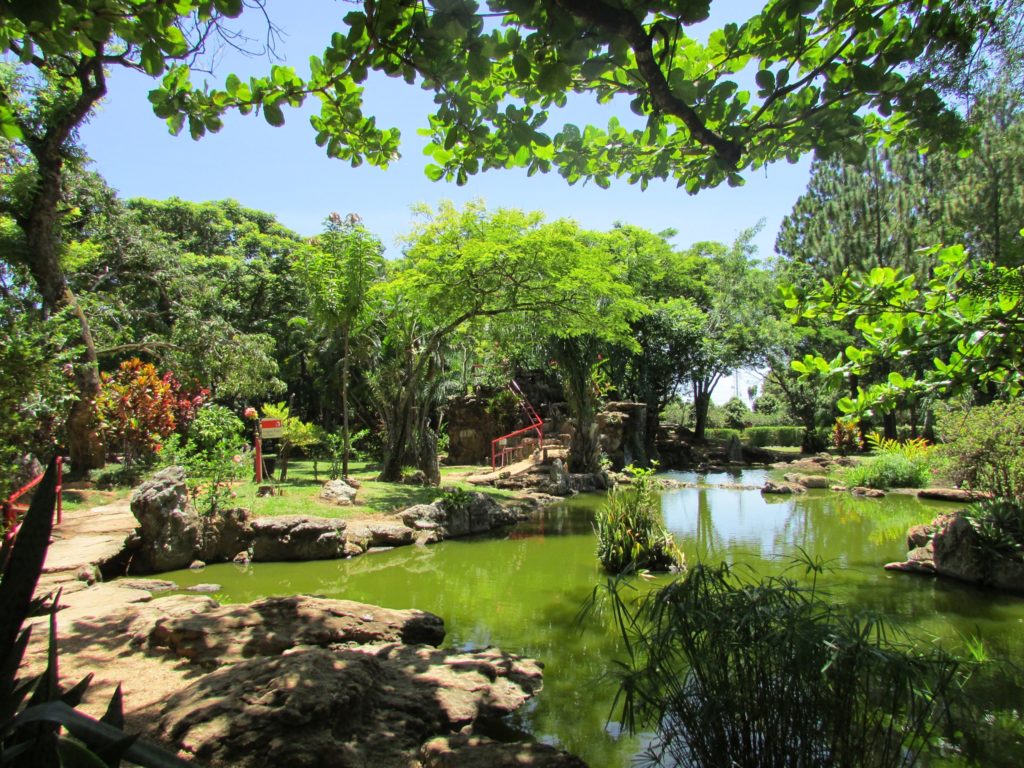 Um jardim exuberante com um lago, árvores verdes, pedras e uma ponte vermelha sob um céu azul claro à luz do dia.