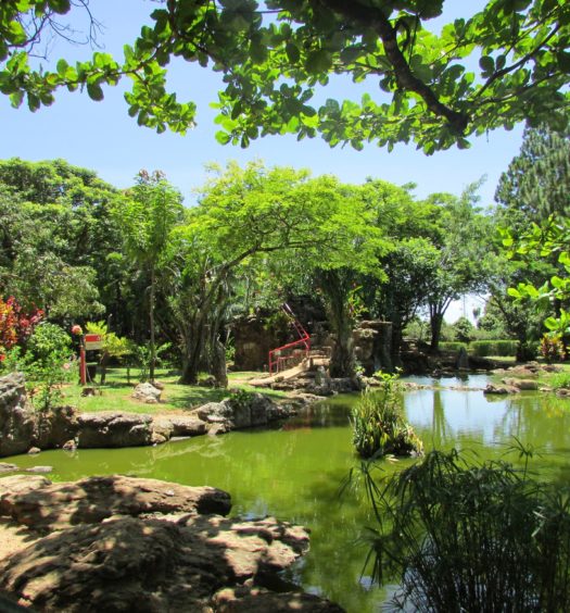 Parque em Caldas Novas, destino de Goiás