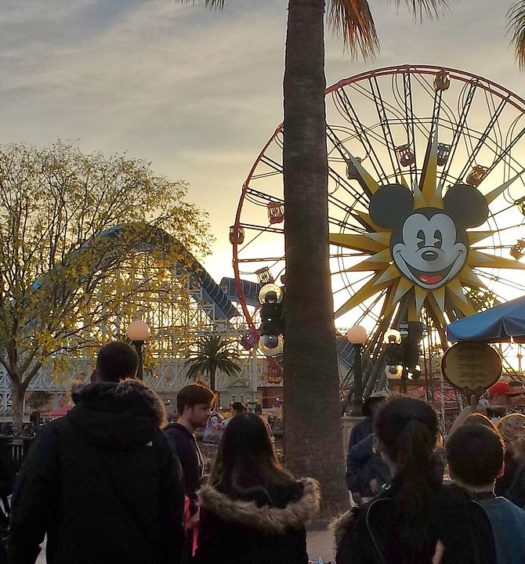 Parte do Disney California Adventure Park em Anaheim, na California, com grande público no parque, em frente à famosa roda gigante com a cara do Mickey