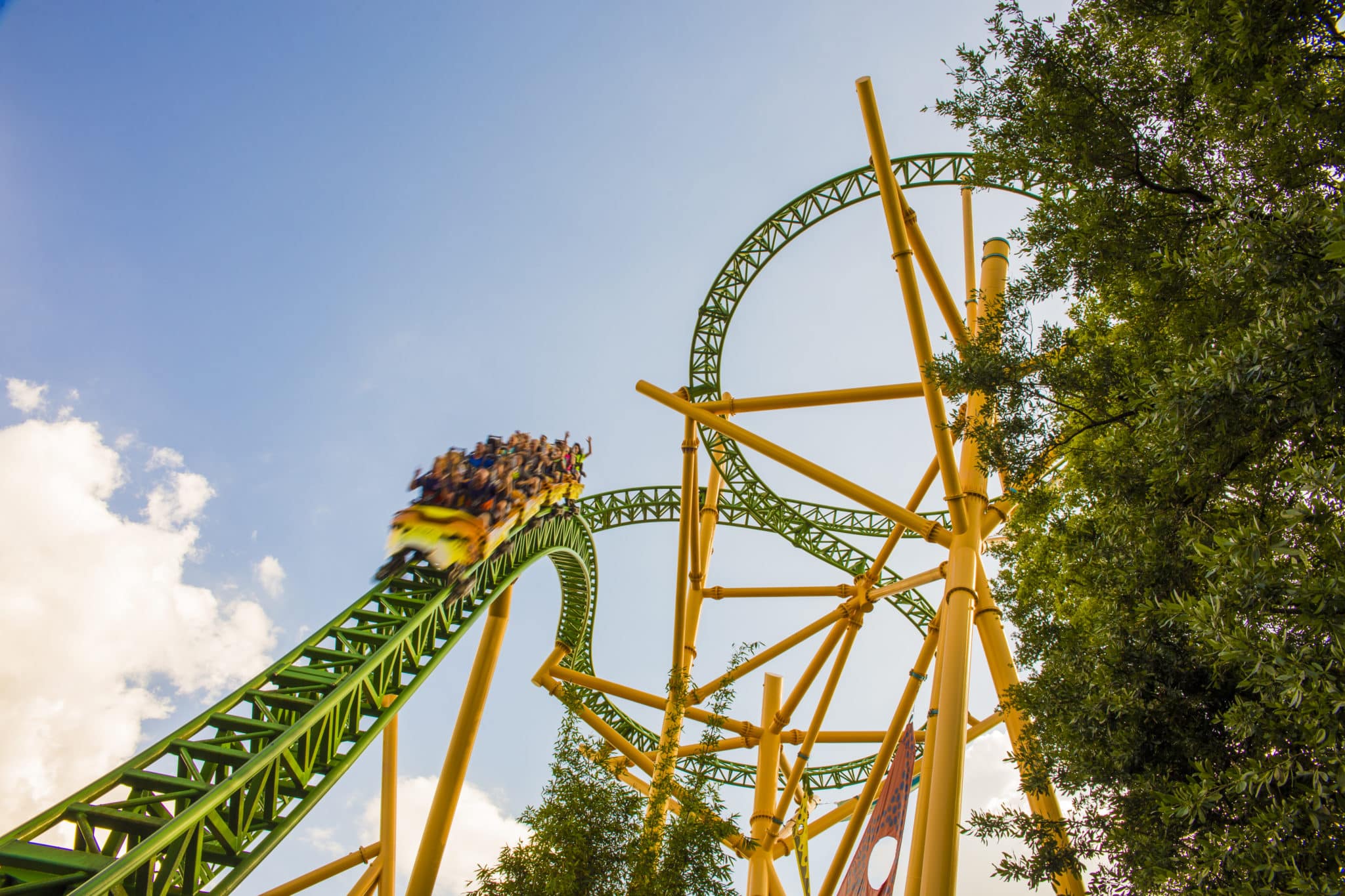 Busch Gardens Tampa Melhores atrações e dicas para aproveitar