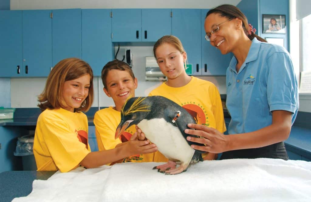 Foto de funcionária do SeaWorld cuidando de pinguim e mostrando a três crianças o animal em um centro de cuidados.
