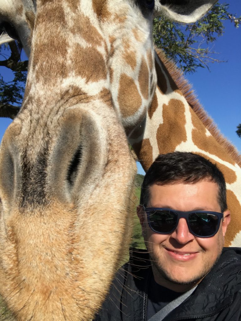 No Serengeti Safari, você pode até tirar uma selfie com essa amiga ai!  - busch gardens tampa