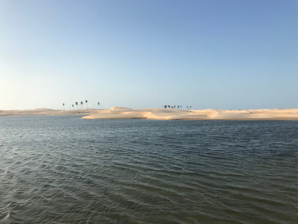 Paisagem de dunas, com esparsas palmeiras, e formação com água nos Pequenos Lençóis, em Tutóia