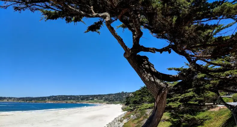 Carmel Beach
