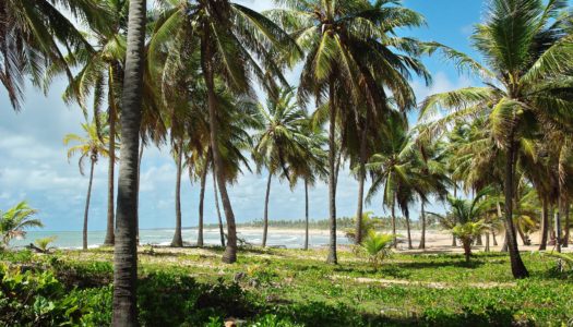 Costa do Sauípe – Guia de viagem