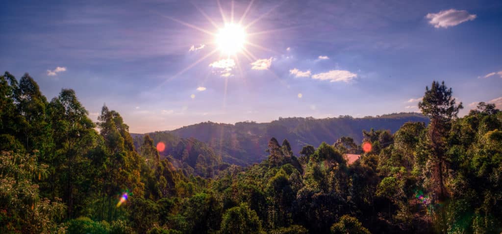 O sol brilha sobre uma densa floresta verde, com colinas ao fundo, sob um céu azul quase limpo, em Monte Verde.