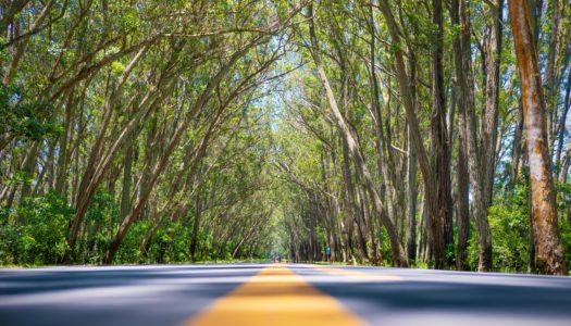 Rio Grande do Sul: Guia de viagem e principais destinos