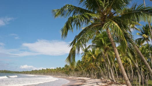 Boipeba: Guia de viagem