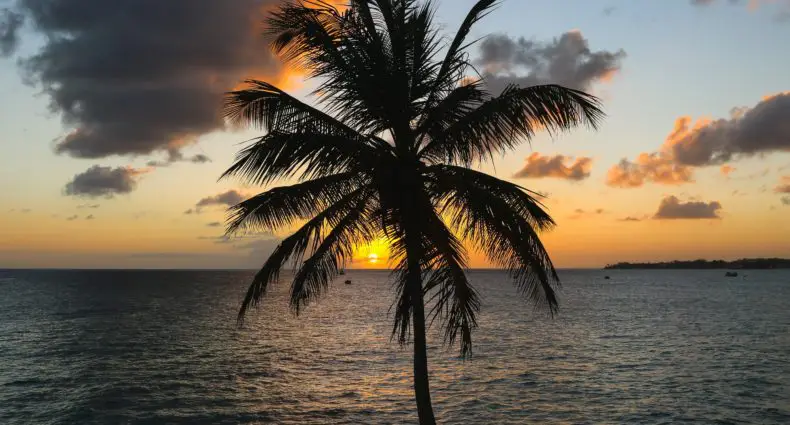 Baía de Freight em Barbados, no Caribe