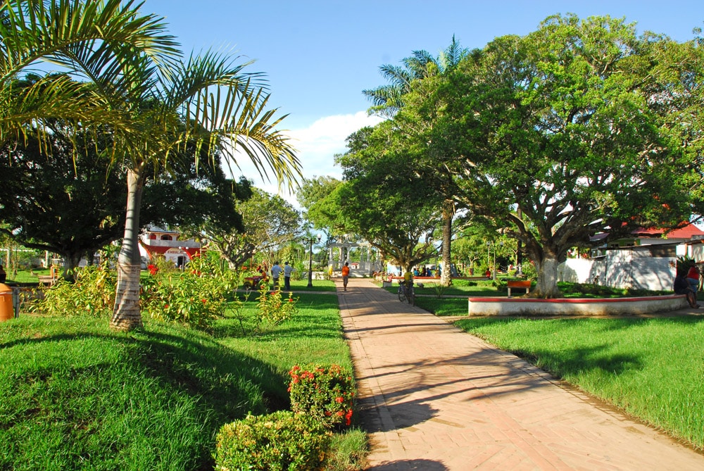 Área verde abundante na Praça Sena Madureira, em Rio Branco