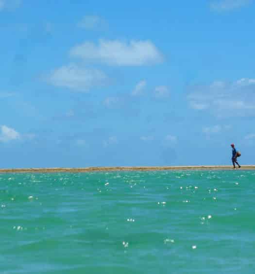 Mar esverdeado na Praia do Patacho, no Alagoas