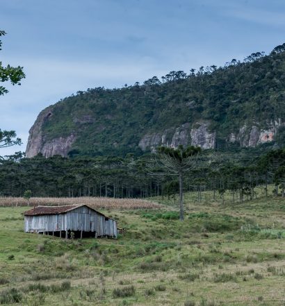 Vista de araucárias e chalé em meio à Serra Catarinense