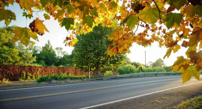 rota romantica em rs