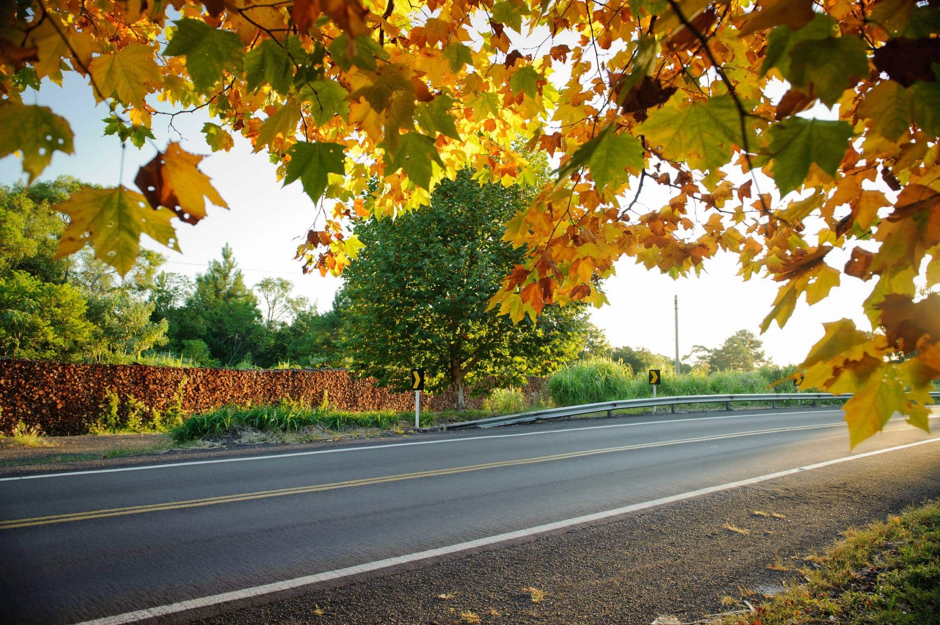 Pousadas na Rota Romântica (RS): 11 opções para 2026, image size:1920x1278