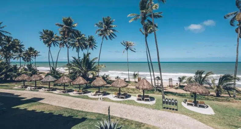 Uma fileira de guarda-sóis de palha e espreguiçadeiras fica de frente para uma praia de areia com palmeiras e um oceano azul sob um céu claro.