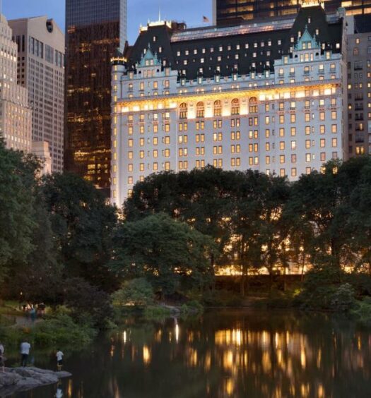 vista do Central Park no hotel The Plaza em Nova York