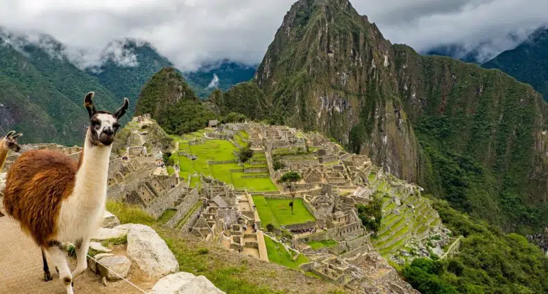 uma llama fofinha e machu picchu no peru