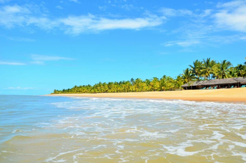 orla da Praia de Guaiú em Santo André na Bahia mostrando a espuma do mar de encontro com a areia da praia ao fundo. há vários coqueiros e vegetação verde atrás destacando o céu azul
