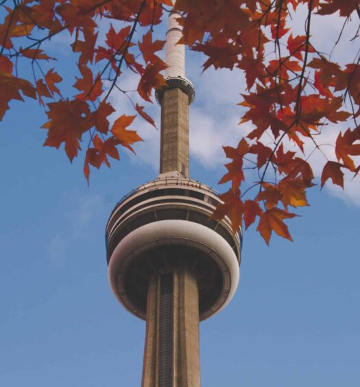vista da cn tower em toronto com as folhinhas símbolo do canadá