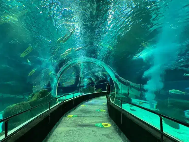 túnel do AquaRio