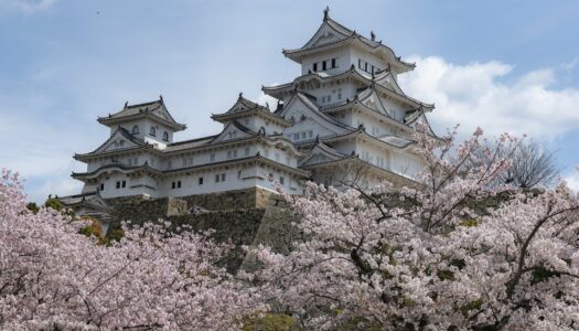 Seguro viagem Japão – Encontre o melhor plano