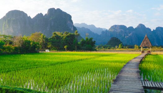 Seguro viagem Laos – Confira as melhores opções do mercado
