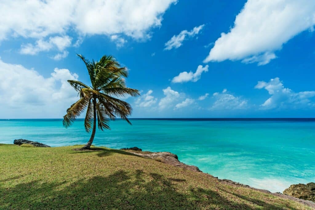 Região na costa do mar, em Barbados