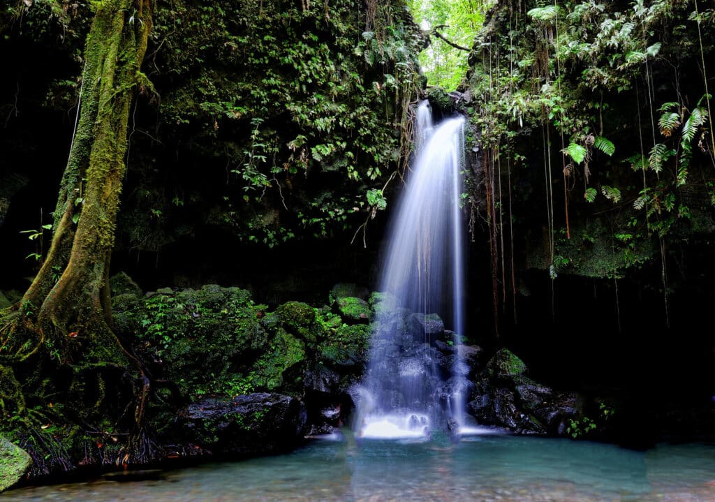 Vista da cachoeira Emerald Pool, Dominica com águas cristalinas - Representa seguro viagem Dominica.