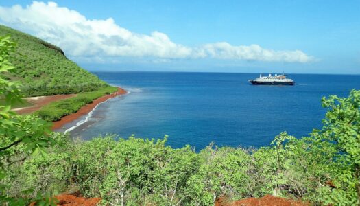 Seguro viagem Galápagos é obrigatório? Veja informações aqui