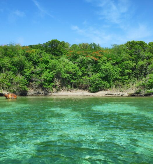 Le François em Martinica, um local com muita vegetação cercando um pedaço de areia e o mar verde claro e transparente a ponto de enxergar o fundo do mar