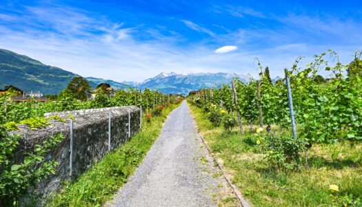 Seguro viagem Liechtenstein: Tudo o que você precisa saber