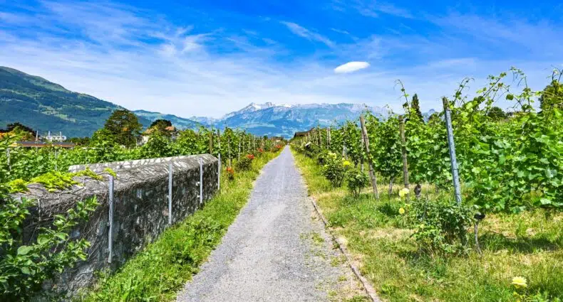Vegetações com rua no meio, em Vaduz, capital de Liechtenstein
