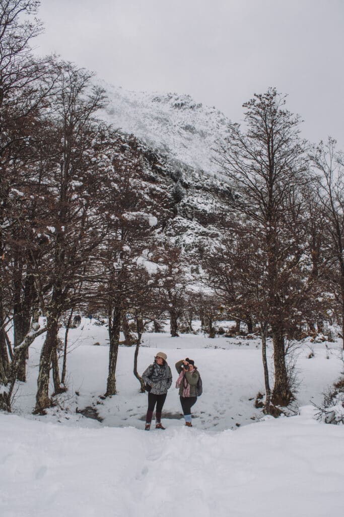 Muita neve e árvores secas no Valle Califórnia, na Patagônia Chilena