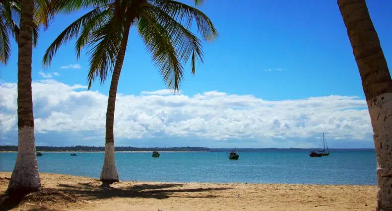 Cena de praia com palmeiras, praia arenosa e barcos na água sob um céu azul com nuvens dispersas.