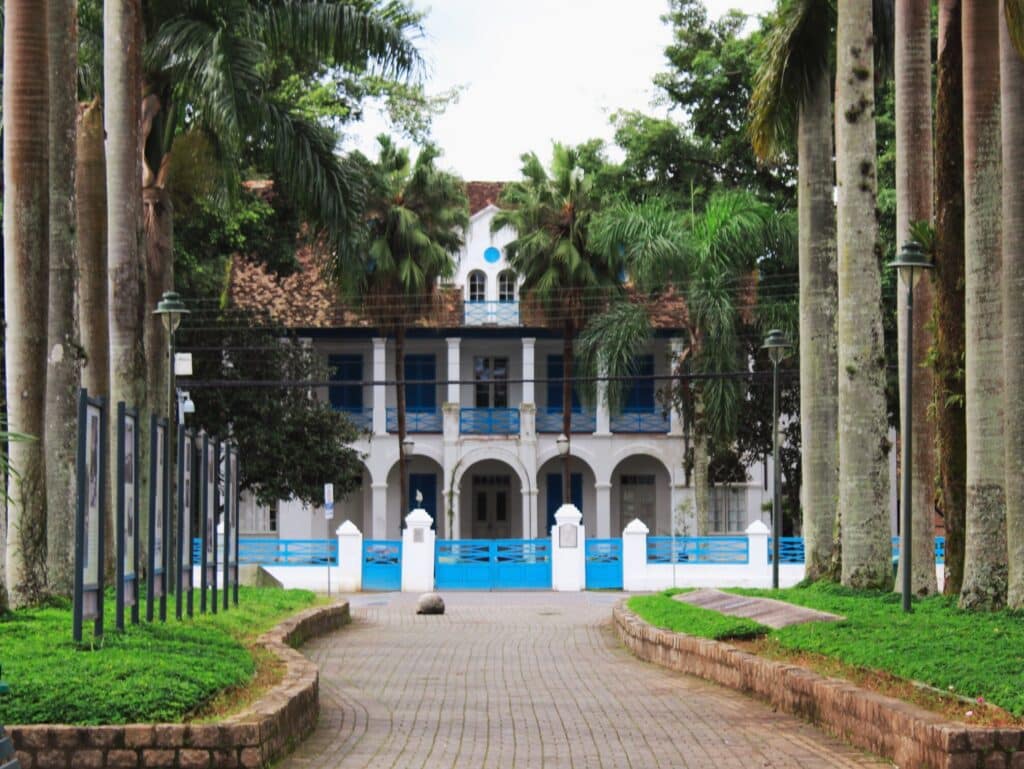 Caminho em direção ao Palácio dos Príncipes, com árvores, em Joinville