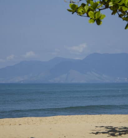 Foto da Praia da Cocanha, com areia clara, árvore típica, águas lisas e a ilha de Ilhabela ao fundo, ilustrando post de pousadas em Caraguatatuba