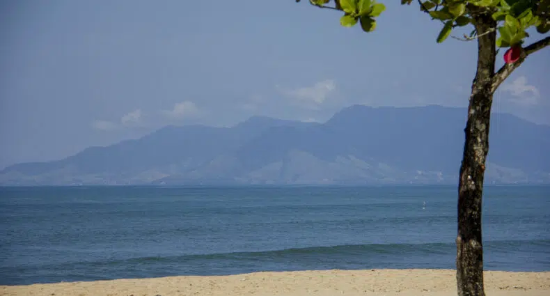 Foto da Praia da Cocanha, com areia clara, árvore típica, águas lisas e a ilha de Ilhabela ao fundo, ilustrando post de pousadas em Caraguatatuba