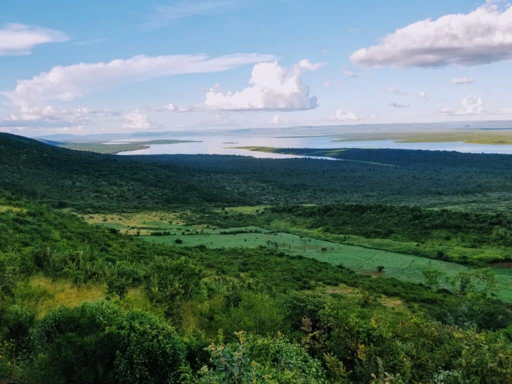 vista muito arborizada, bem verde com lago e céu azul do Parque Nacional de Akagera, que pode ser visitado com o seguro viagem Ruanda