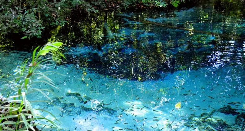 Aquário Encantado, um dos lagos cristalinos de Nobres, no Mato Grosso, com águas límpidas e azuis, além de vegetação preservada nos arredores e peixes nadando livremente