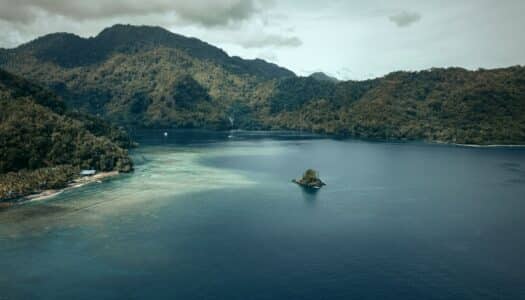 Seguro viagem Papua Nova Guiné: Saiba como contratar