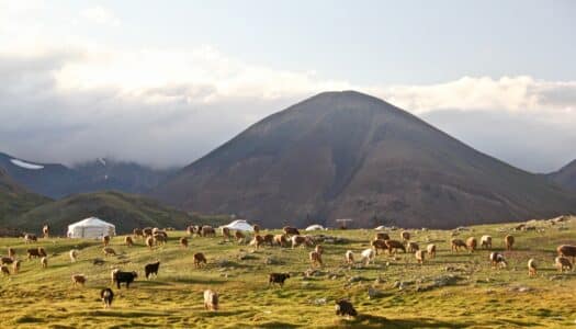 Seguro viagem Mongólia: Como escolher o melhor