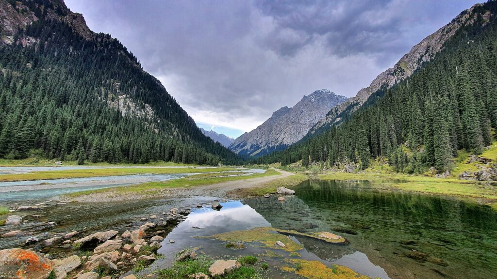 Rio cercado por floresta dos dois lados com uma montanha ao fundo para ilustrar o post seguro viagem Quirguistão. - Foto: Marek Brzóska via Unsplash